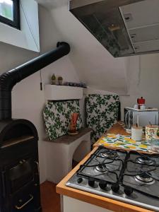 a kitchen with a stove and a stove top oven at Limonaia in Villa Viani