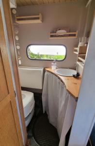 a small bathroom with a toilet and a sink at Camping Erzhütte in Rechenberg-Bienenmühle