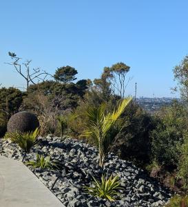 a garden with rocks and palm trees and a sidewalk at Gumlands Retreat in Auckland