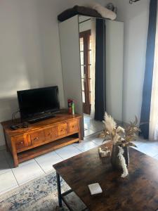 a living room with a tv and a coffee table at Cosy house studio in Saint-Aunès