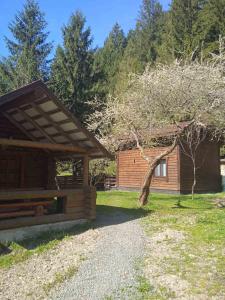 a log cabin with a tree in front of it at Котедж Арпад in Synevyr +11 photos