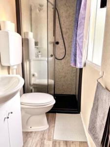 a bathroom with a toilet and a shower at Mobilehome Adams Glamping - Camp Adriatic in Primošten