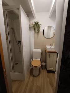 a small bathroom with a toilet and a sink at Cozy Studio in Marck