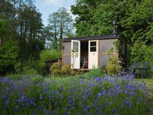 a tiny house in a field of purple flowers at The Leat at The Old Mill in Tavistock