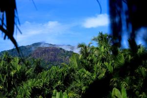 a view of a mountain with palm trees at Fram tree house in Dambulla