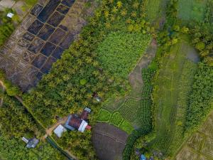 an overhead view of a garden with a house and trees at Fram tree house in Dambulla