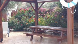 Zahrada ubytování Jaime Villa Cyprus