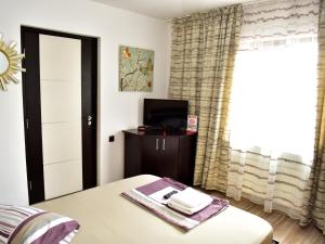 a bedroom with a bed and a tv and a window at Pensiunea Dely_Cios in Vălenii de Munte