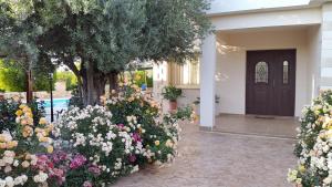 Zahrada ubytování Jaime Villa Cyprus