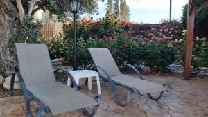 Zahrada ubytování Jaime Villa Cyprus