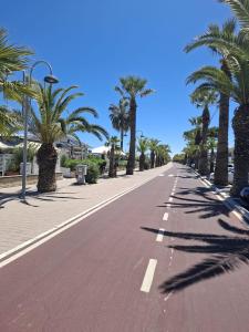 an empty street with palm trees on the side of the road at Appartamenti FronteMare in Tortoreto Lido