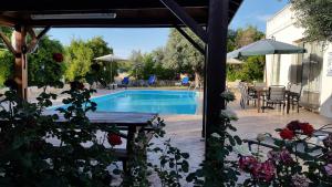 Bazén v ubytování Jaime Villa Cyprus nebo v jeho okolí
