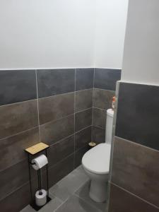 a bathroom with a toilet and a tiled wall at Appart Allée des chênes in Furiani