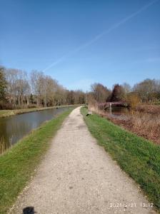 a dirt road next to a river at Sérénité in Corquilleroy
