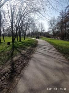 a road in a park with people walking down it at Sérénité in Corquilleroy