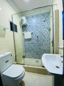 a bathroom with a shower and a toilet and a sink at Unique luxury duplex in Lekki