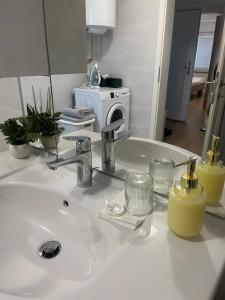 a bathroom sink with two bottles of soap on it at Janez house in Metlika +20 photos