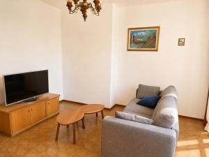 a living room with a couch and a tv at Charming House Among the Prosecco Hills & Olive Groves in San Pietro di Feletto