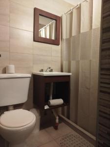 a bathroom with a toilet and a sink and a shower at Fran hotel boutique in Mendoza