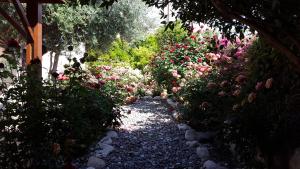 Zahrada ubytování Jaime Villa Cyprus