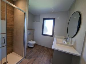a bathroom with a toilet and a sink and a mirror at Maison du Bord du Rhône in Saint-Pierre-de-Boeuf