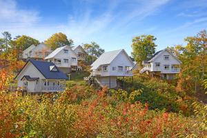 a row of houses on a hill with trees at Resort Villa Takayama in Takayama