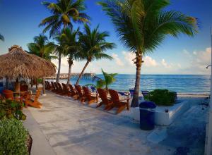 a row of chairs and palm trees on the beach at Key Colony Beach Motel in Marathon