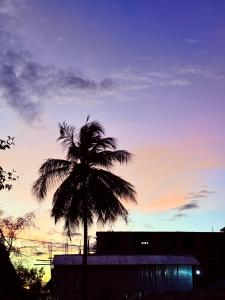 a palm tree in front of a sunset at Simai house in Nungwi