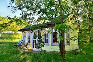 a small yellow house in a field with a tree at La Salcami in Mohu