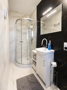 a bathroom with a shower and a sink and a mirror at ECO HOUSE in Szypliszki