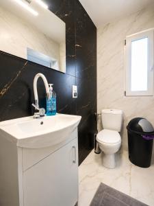 a bathroom with a sink and a toilet at ECO HOUSE in Szypliszki