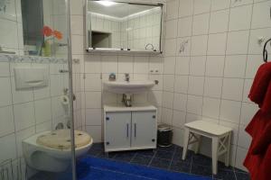a bathroom with a sink and a toilet and a mirror at Ferienwohnung findus in Haldenwang +12 photos