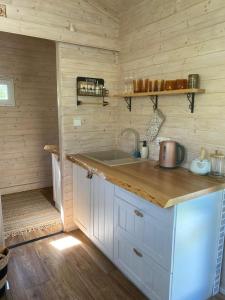 a kitchen with a sink and a counter top at Tinyhouse Cecilka in Ústí nad Orlicí