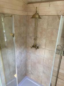 a shower with a glass door in a bathroom at Tinyhouse Cecilka in Ústí nad Orlicí