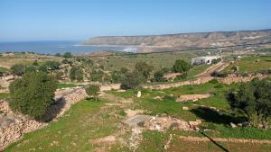 an aerial view of a field with the ocean at Tigmi Nrayss in Essaouira