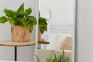 a potted plant sitting on a table next to a couch at Hostal Boutique Es Grop in Port de la Selva
