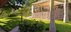 a house with a palm tree in the yard at Resta Lodge in Kariba