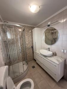 a bathroom with a shower and a toilet and a sink at Apartmani Lucija 3 in Zubovići +7 photos