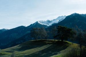 a group of trees on top of a hill with mountains at Unbound Hütte Lenzerheide in Tiefencastel +25 photos