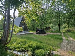 a tiny house with a car parked in front of it at A-frame family in Prokurava +14 photos