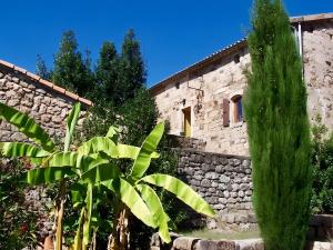 a stone building with a green tree in front of it at La Fée Du Val - Gite En Ardèche in Rosières