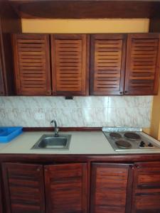 a kitchen with a sink and wooden cabinets at Apartamento en puerta del sol 17 in La Loma +26 photos