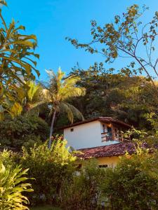 a house with a palm tree in the middle of a forest at Domingas in Ilha de Boipeba
