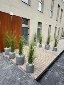 a row of potted plants in front of a building at Grant City Loft in Kaunas