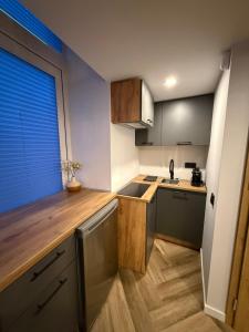 a small kitchen with a sink and a window at Grant City Loft in Kaunas +13 photos