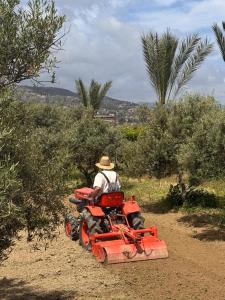 a man riding a tractor on a dirt road at Pervolaris Cottages 1 in Goudhi
