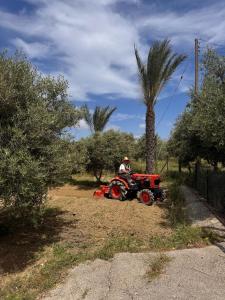 a man riding a tractor in a field with a palm tree at Pervolaris Cottages 1 in Goudhi