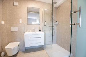 a bathroom with a shower and a toilet and a sink at Apartma na Grad in Ptuj