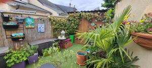 a garden with potted plants and a bench at Maison Acacias Le Mans in Le Mans
