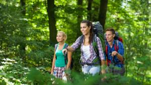 a group of people walking through a forest at M Star Hotel Searcy in Searcy